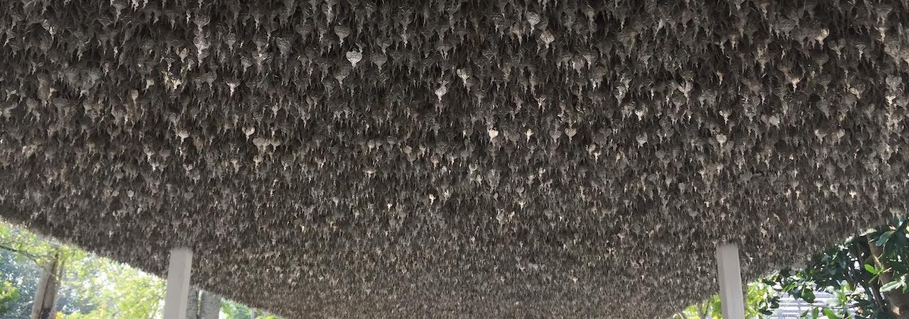 Id accusamus impedit voluptatum tempore.